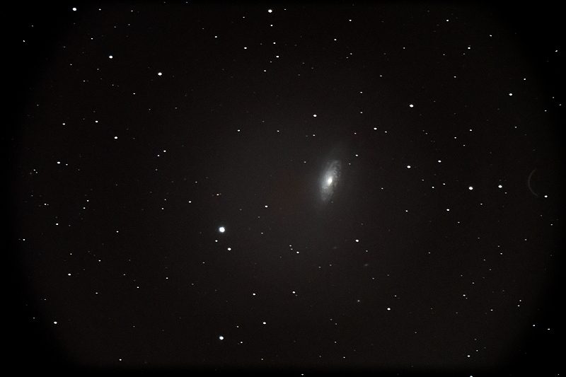 Cassiopeia Observatory Galaxy Astrophotography 1566