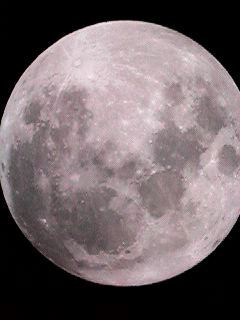 Image: Moon with #82A, Light Blue Filter
