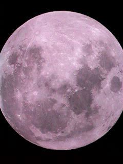 Image: Moon with #8, Light Yellow and #82A, Light Blue Filters