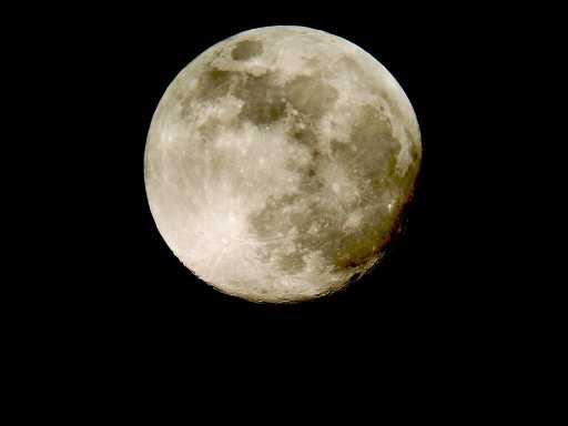 Moon