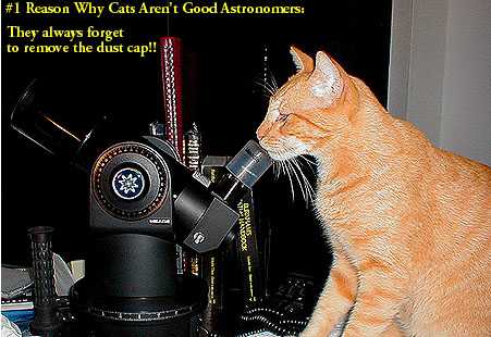 famous astronomer