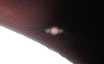 Image: Saturn Occultation