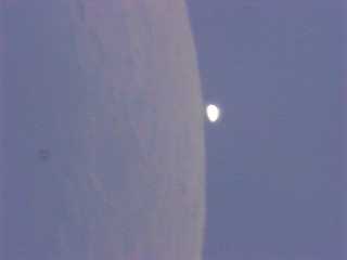 Venus Occultation