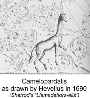 Camelopardalis