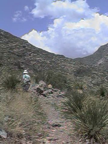 Guadalupe Mts 7