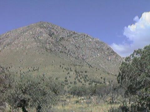Guadalupe Mts 2