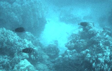 46-underwater